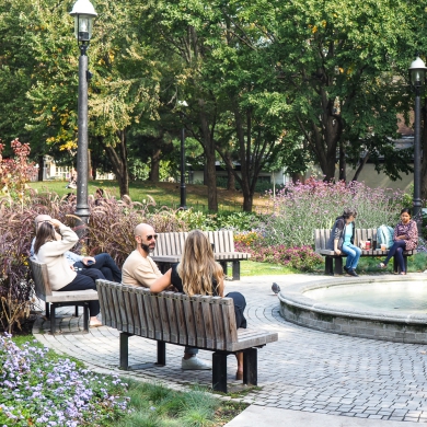 Solid Curved Benches - Toronto, Canada