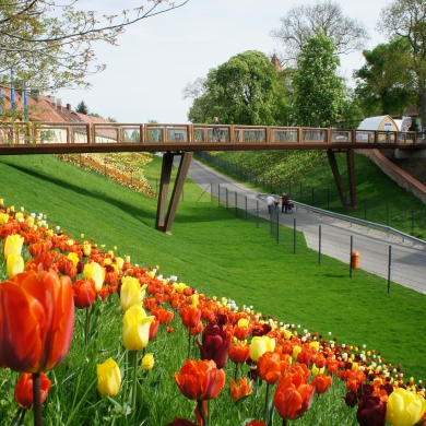 Passerelle Crossline
