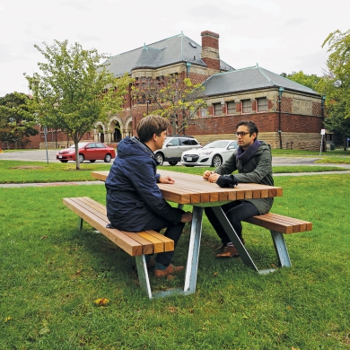 Solid X-Table Picnic Sets