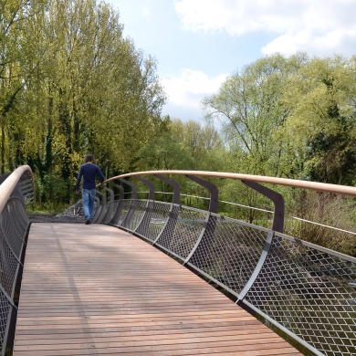 Swan Bridges