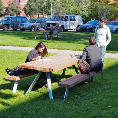 Solid X-Table Picnic Sets