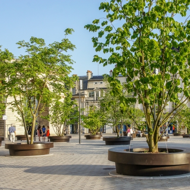 Giant Flowerpots in Dijon