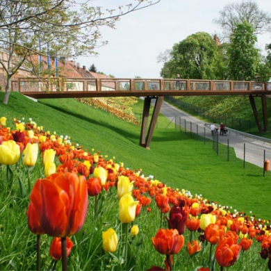 Crossline Brücke