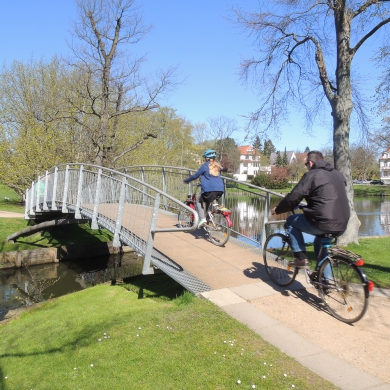 Shortline ZigZag Bridges